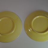 Lachenal cups and subcups