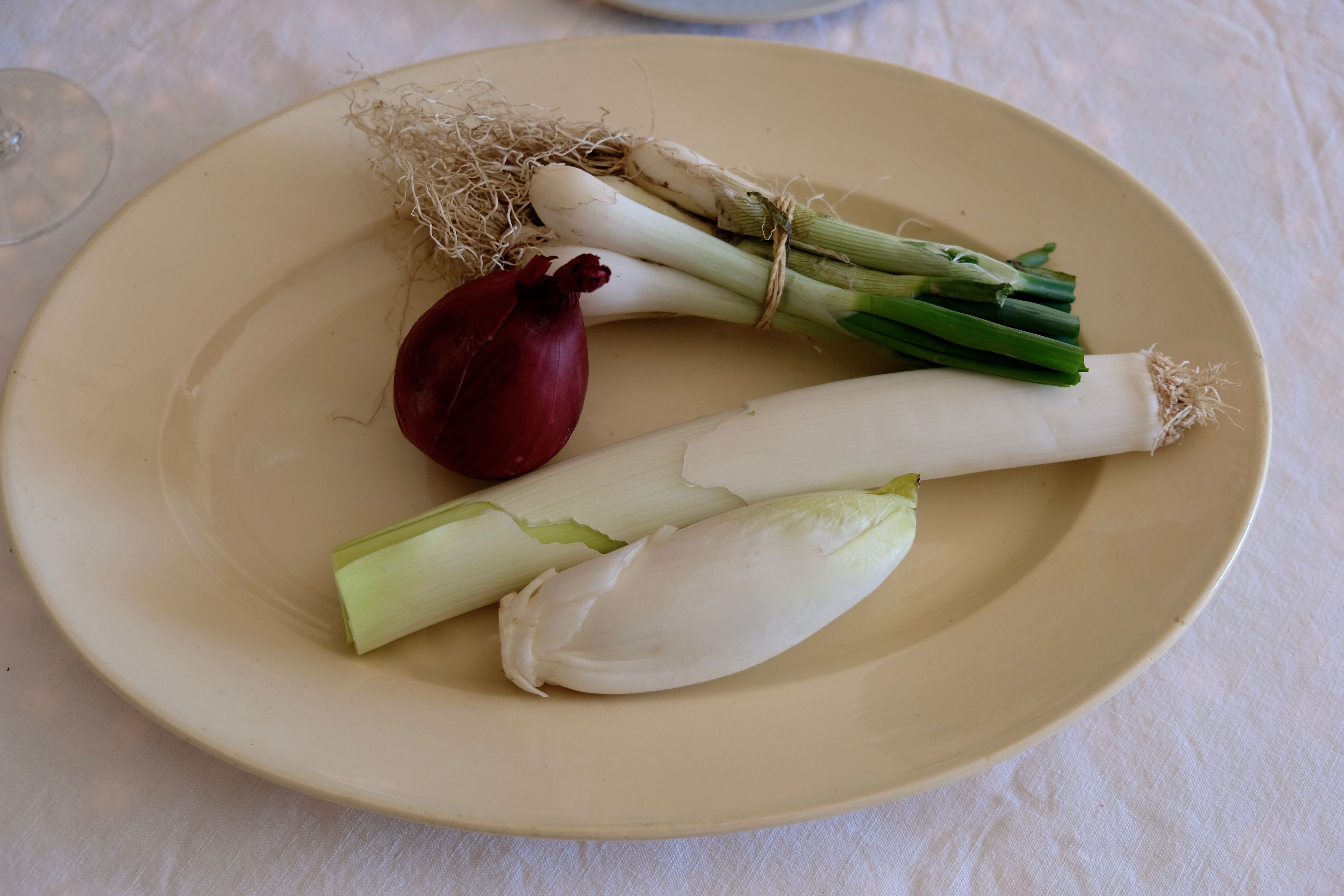 Oval serving dish Digoin Sarreguemines