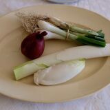 Oval serving dish Digoin Sarreguemines