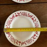 Old plate