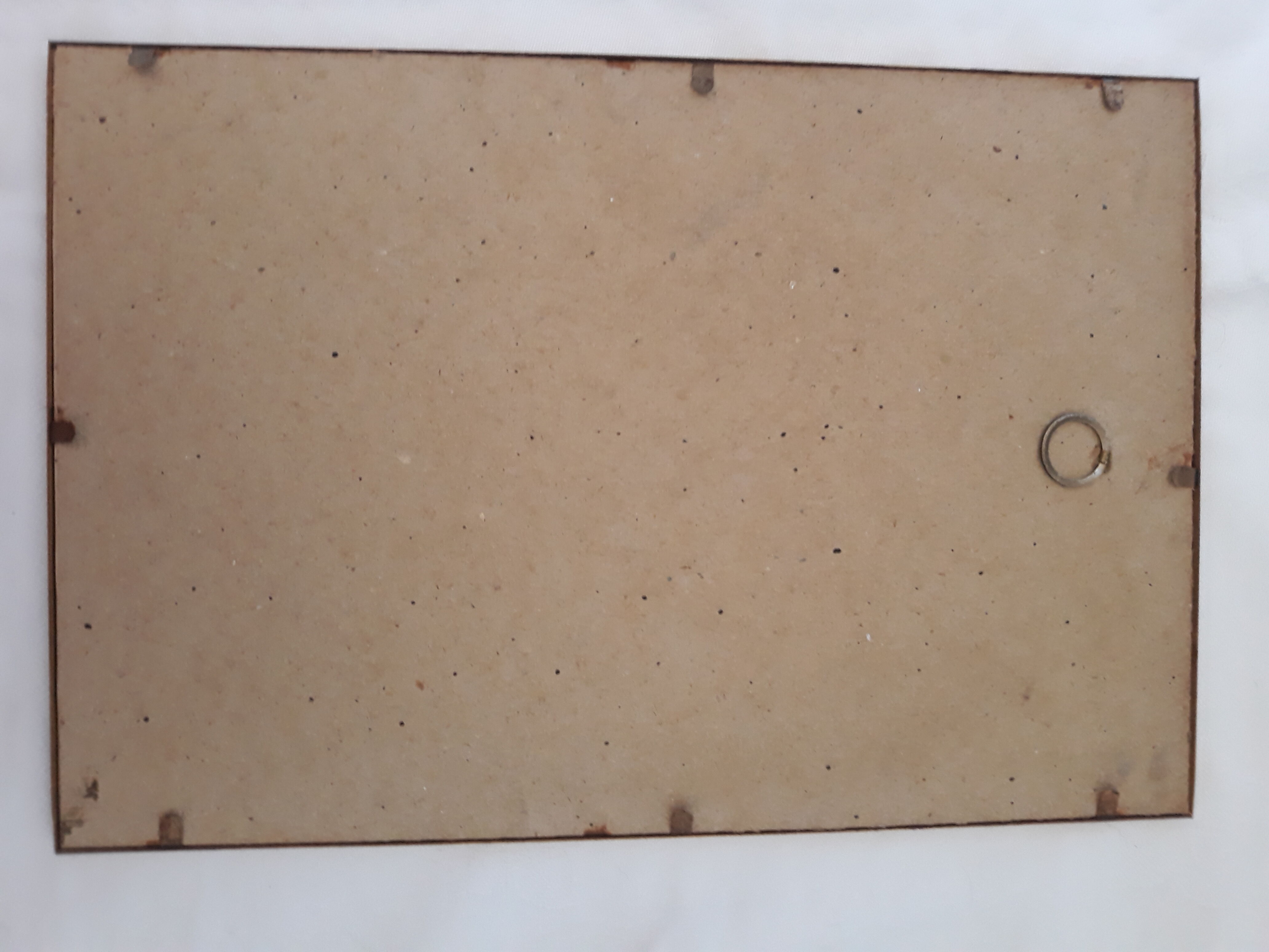 Ancient butterflies brass frame