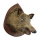 Wild boar head taxidermy wild boar bust stuffed animal 55cm
