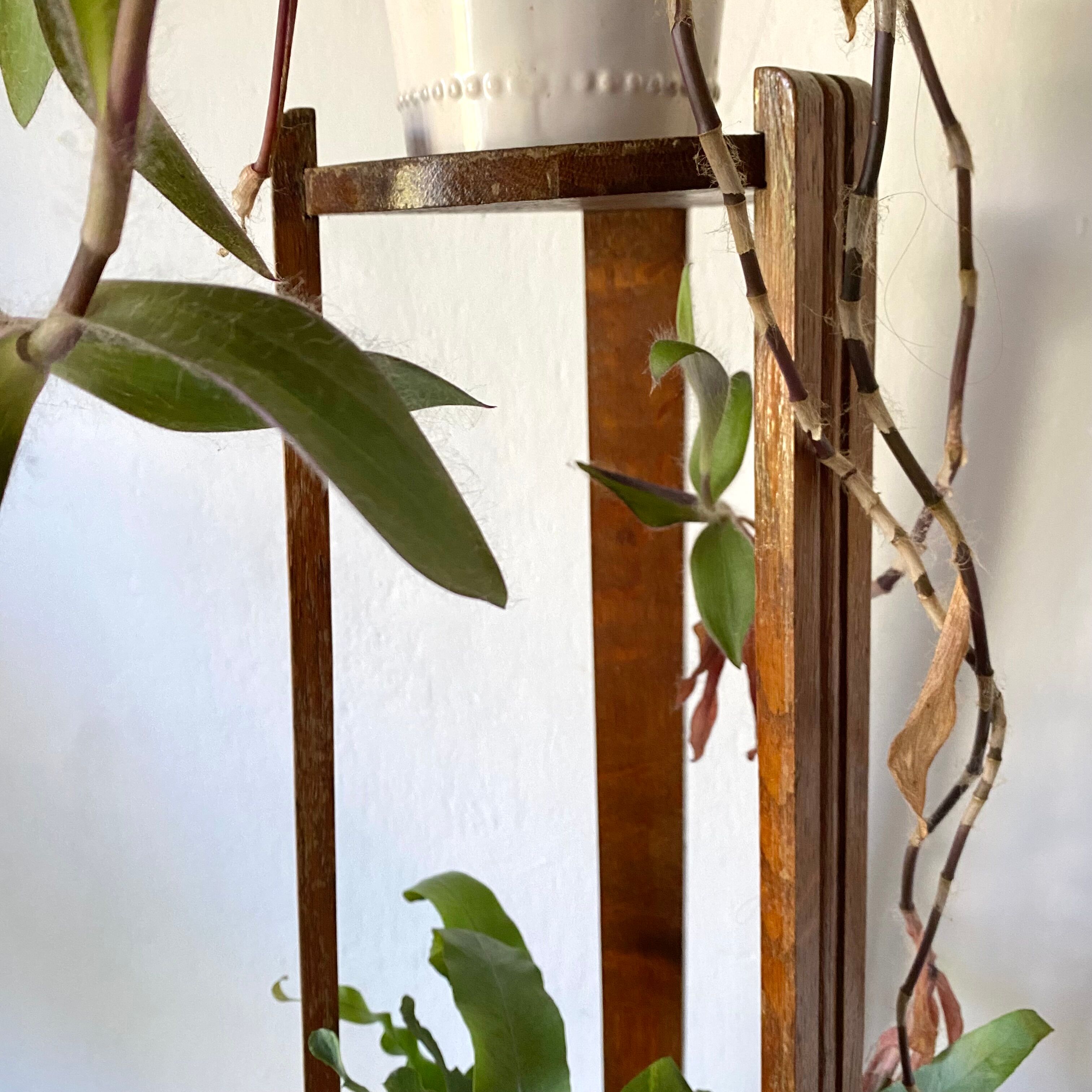 Plant holder fifth wheel