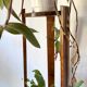 Plant holder fifth wheel