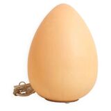 Egg lamp