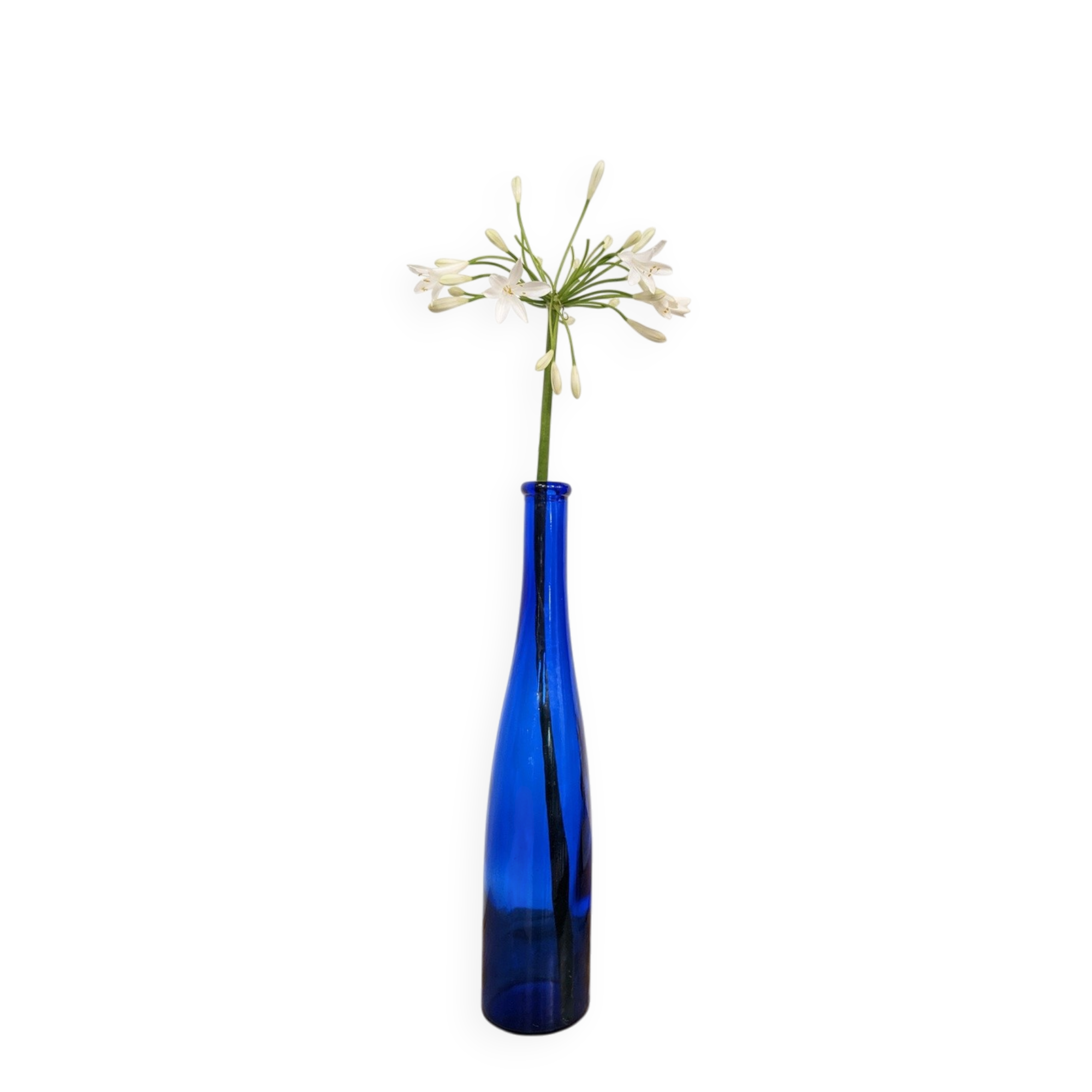 Blue bottle