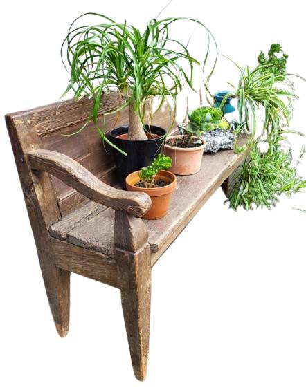 19th-century church pew, 245 cm long