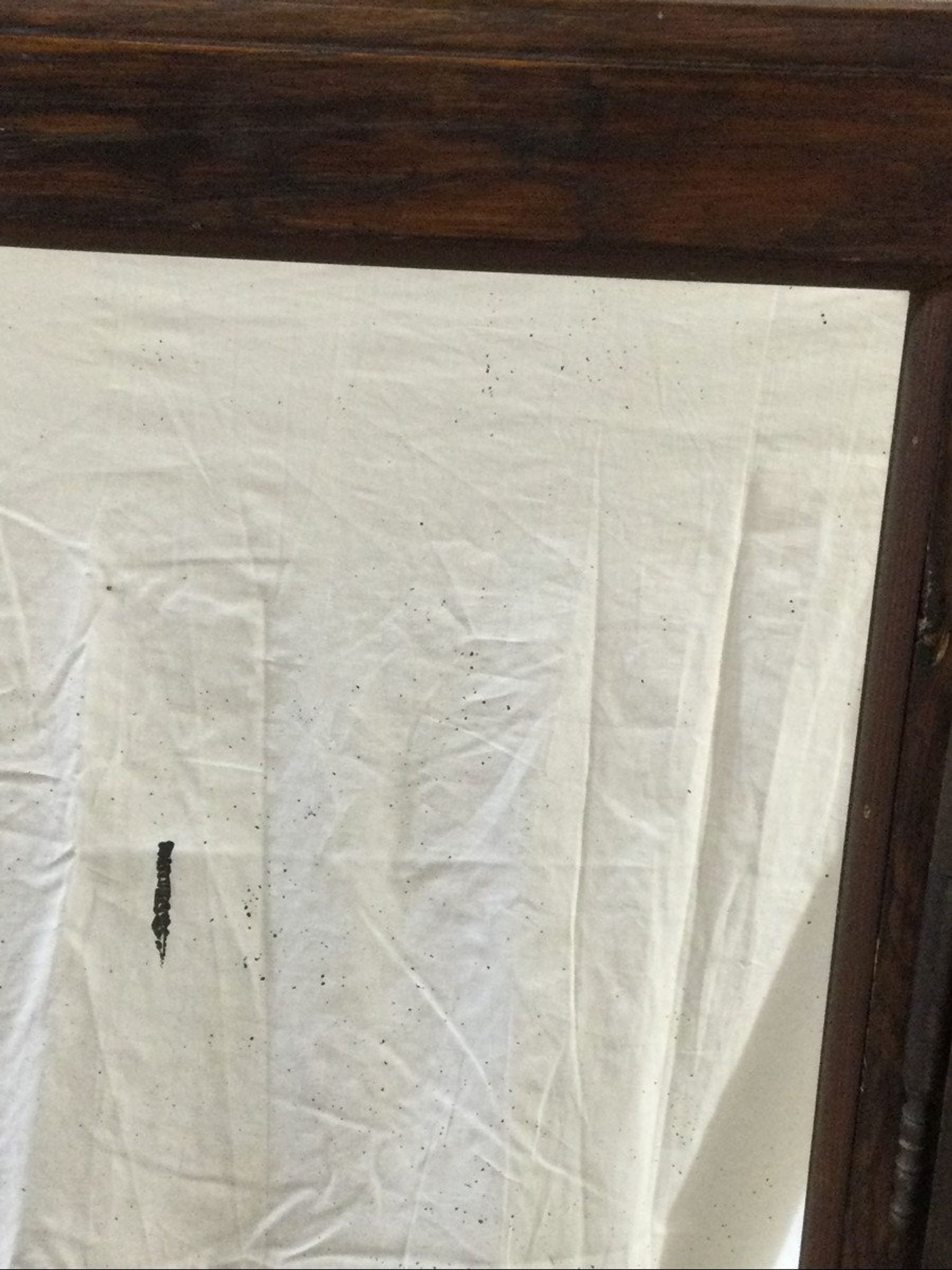 Miroir avec ses portes fleuries 90x111cm