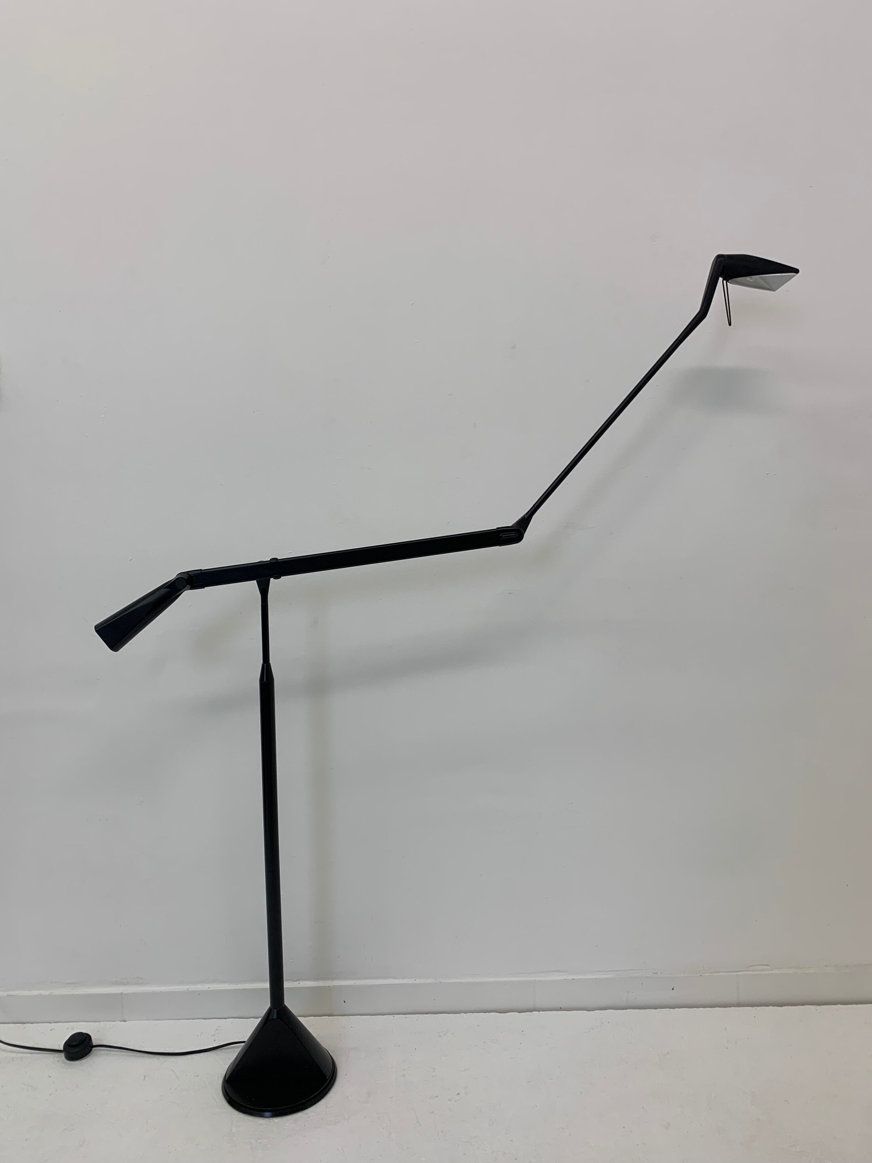 Zelig Terra Floor Lamp by Walter Monici for Lumina, 1980s