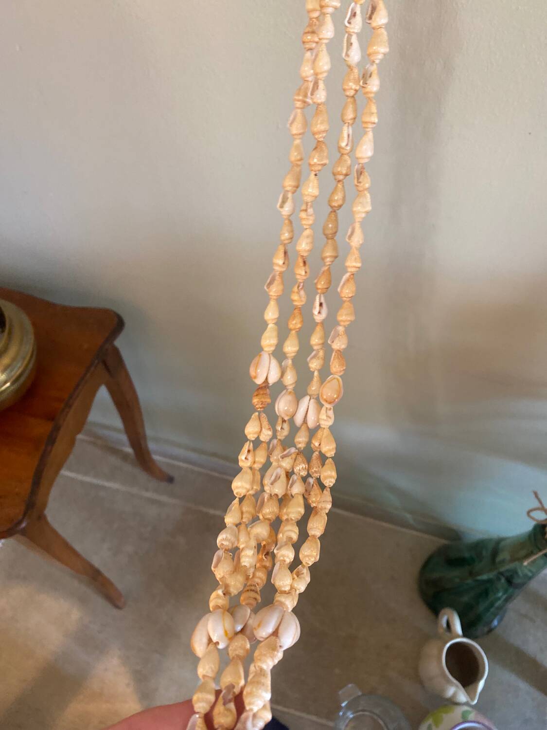 Shell plant holder