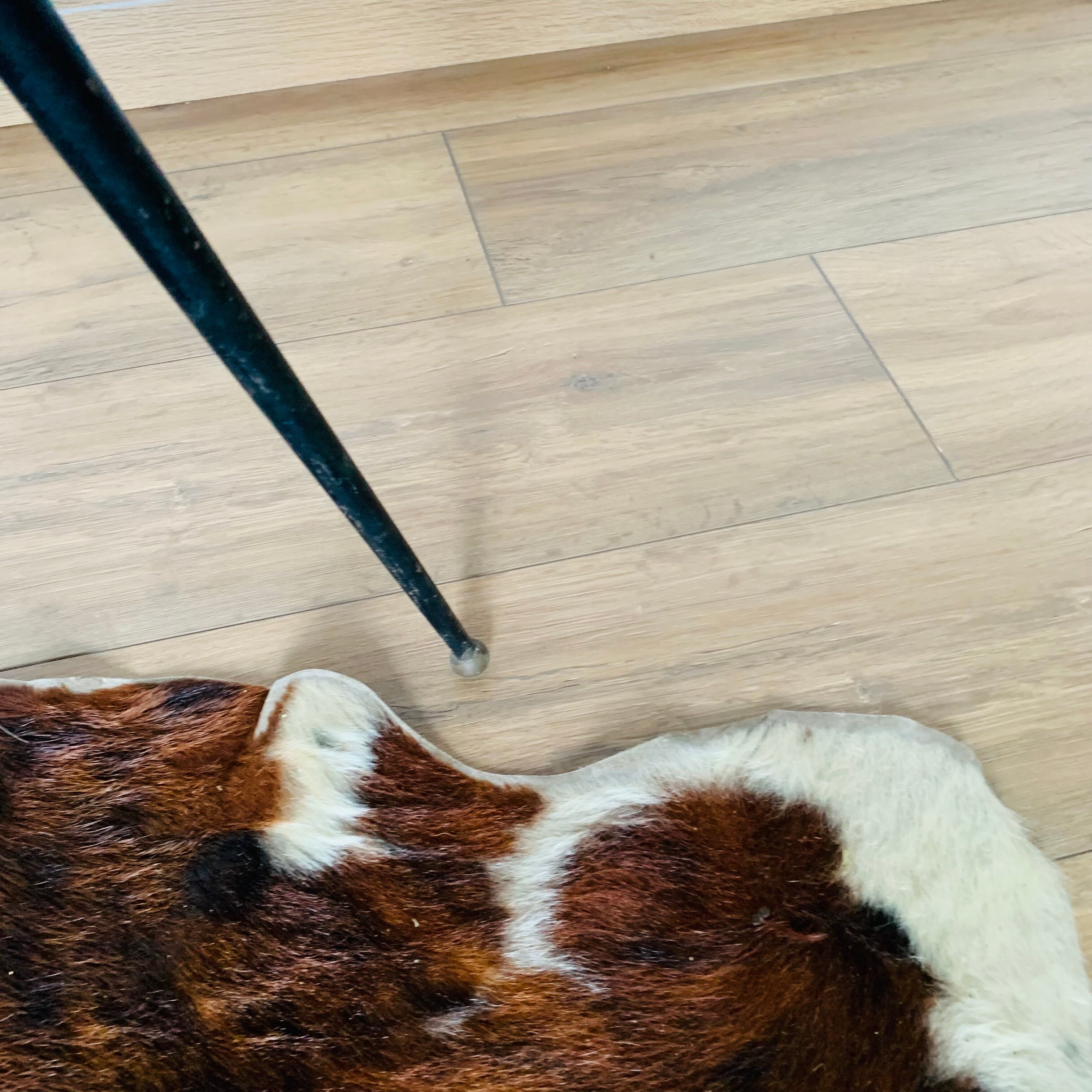 Vintage bean-shaped coffee table