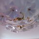 Murano Glass and Golden Brass ceiling lamp, 1970s