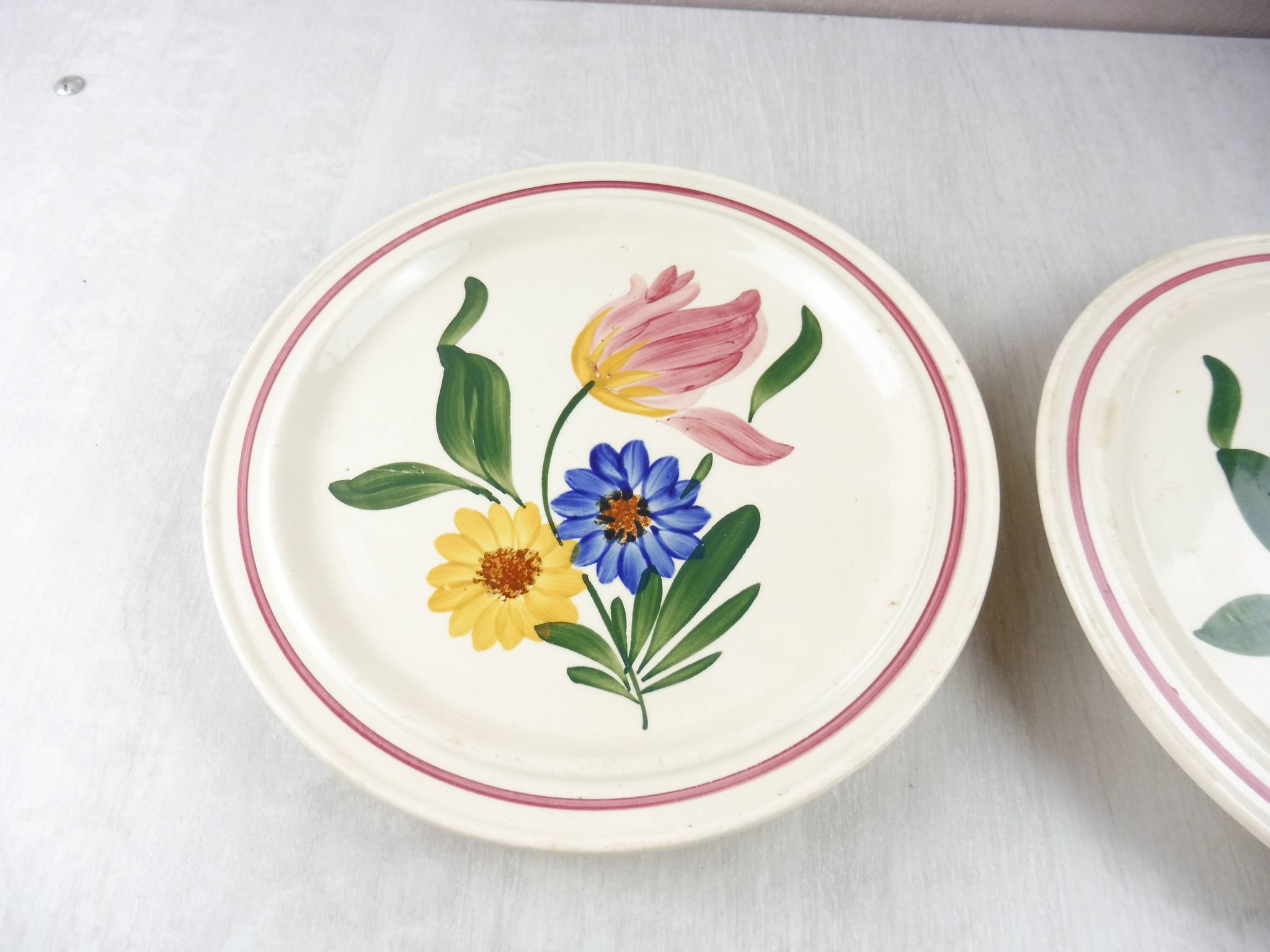 Lot of 2 plates with footouche décor Selestat, Schlettstadt, from Sarreguemines