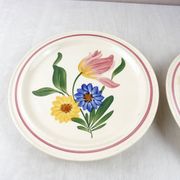 Lot of 2 plates with footouche décor Selestat, Schlettstadt, from Sarreguemines