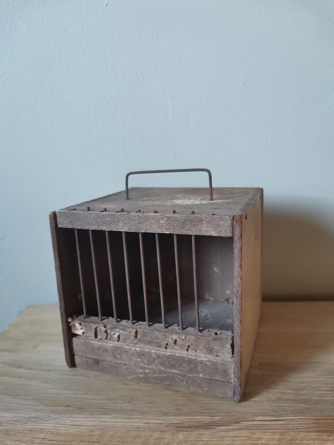 Bird cage, vintage rustic mouse cabinet curiosity