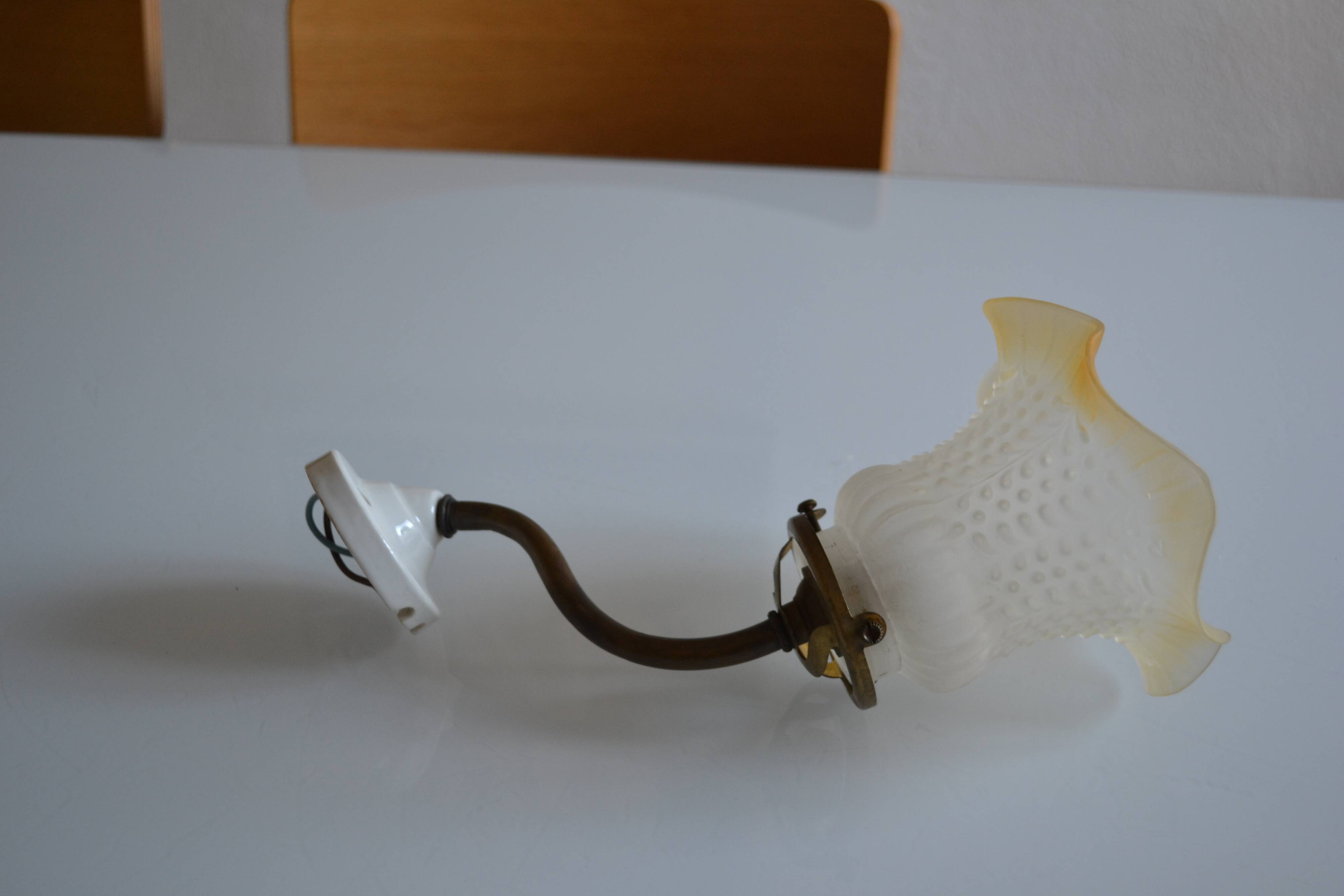 Swan neck wall lamp and its tulip, early 20th century.