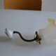 Swan neck wall lamp and its tulip, early 20th century.