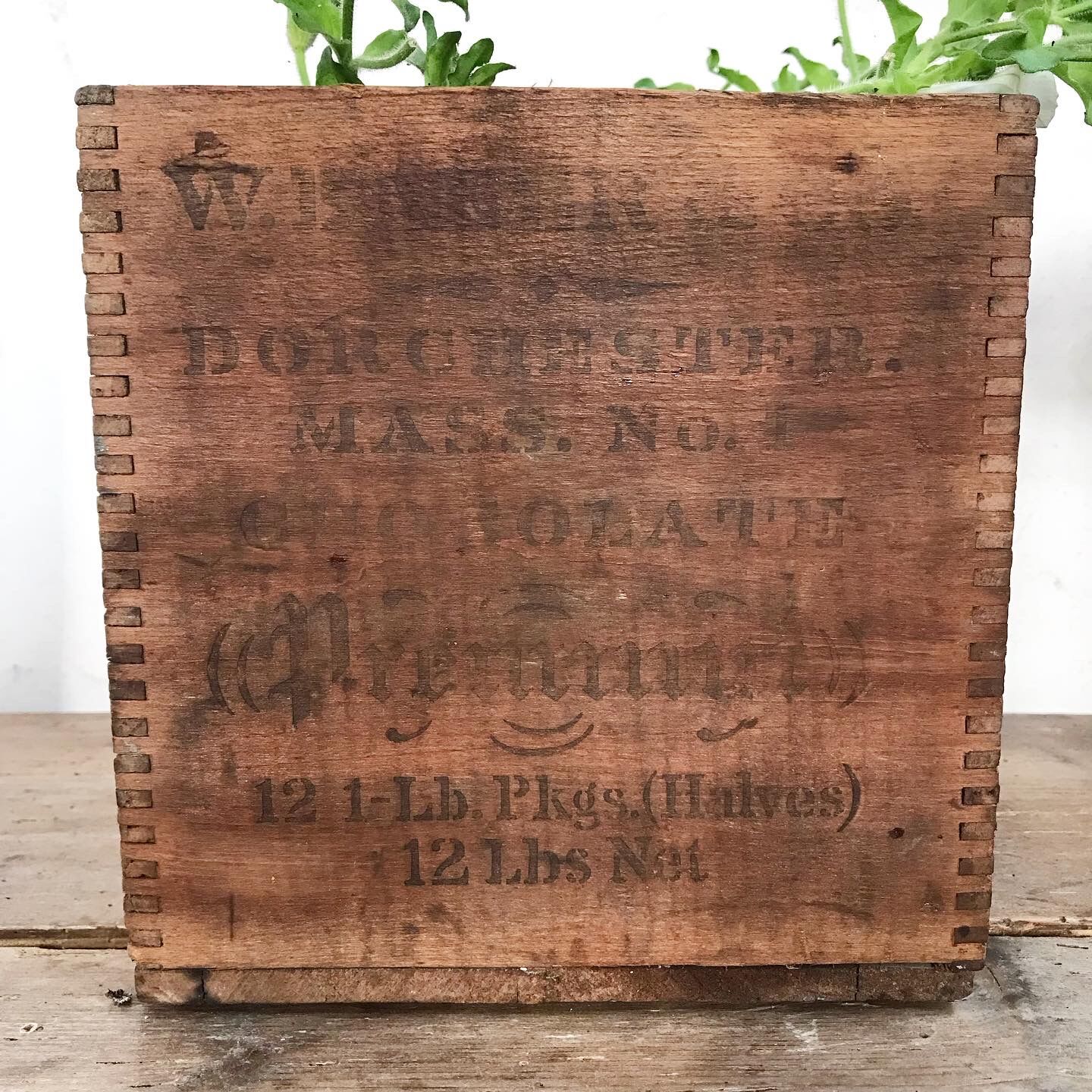 Wooden box early XXth