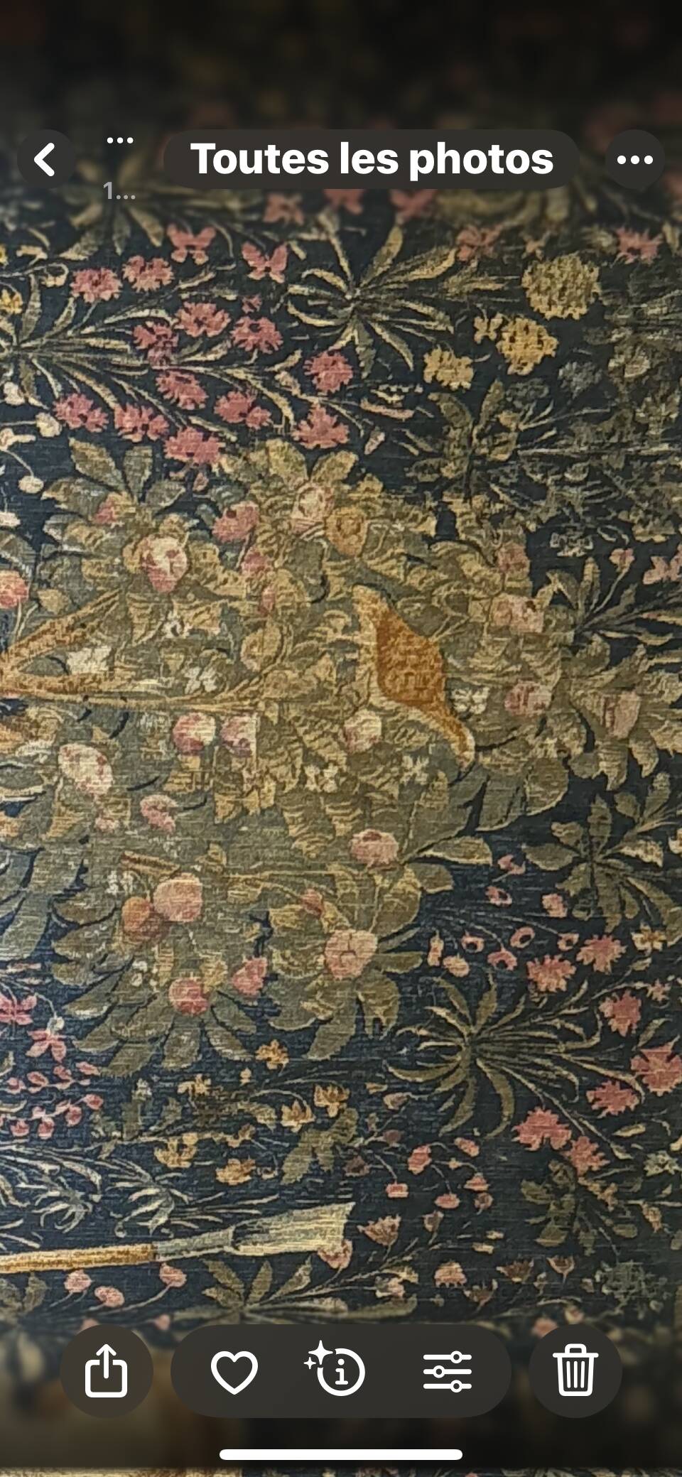Tapestry