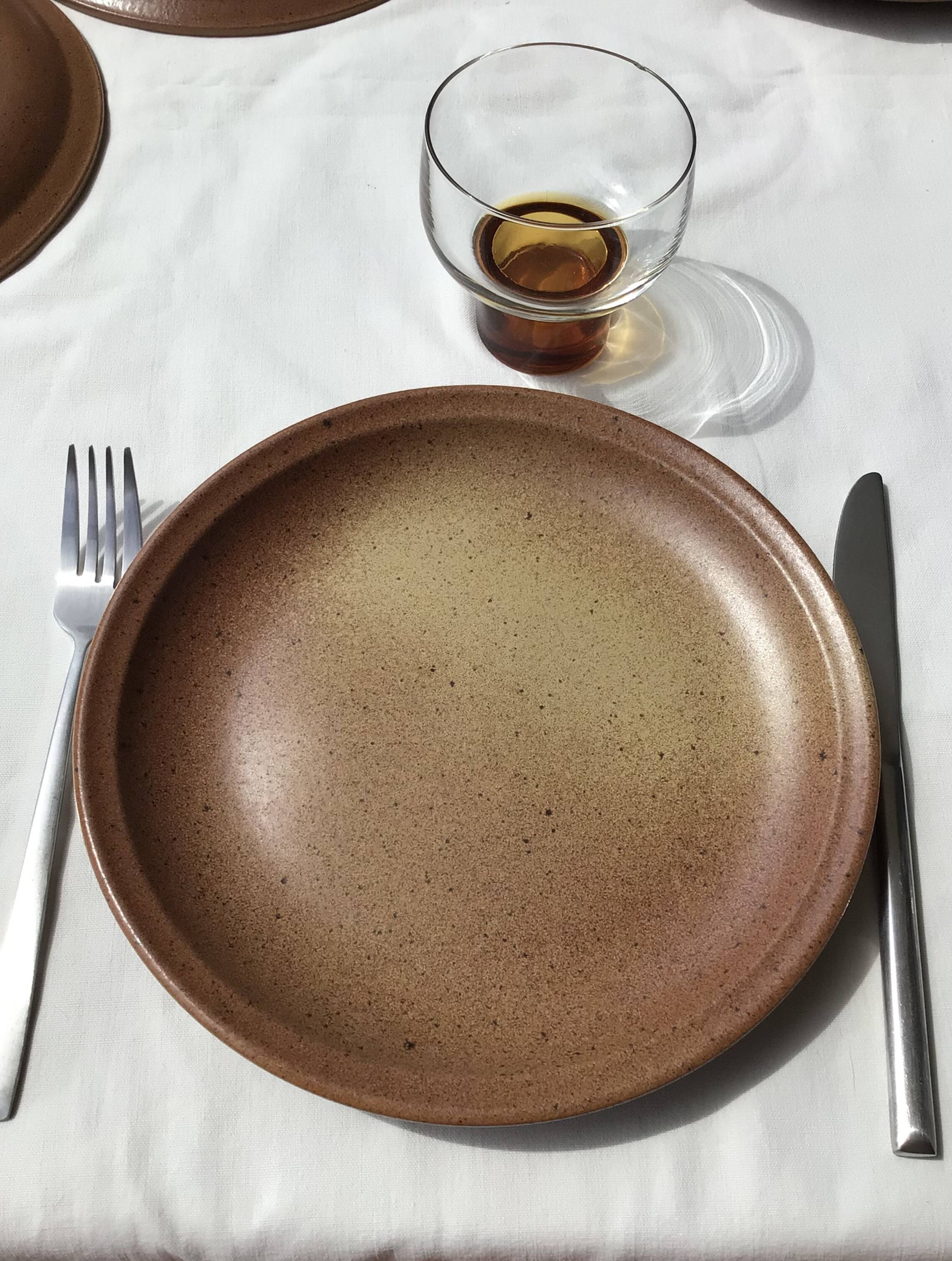 5 Dinner plates Burgundy Sarreguemines sandstone nuanced brown