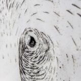 Oiva Toikka Ceramic Panda Bear Plate Nuutajärvi Finland 1983