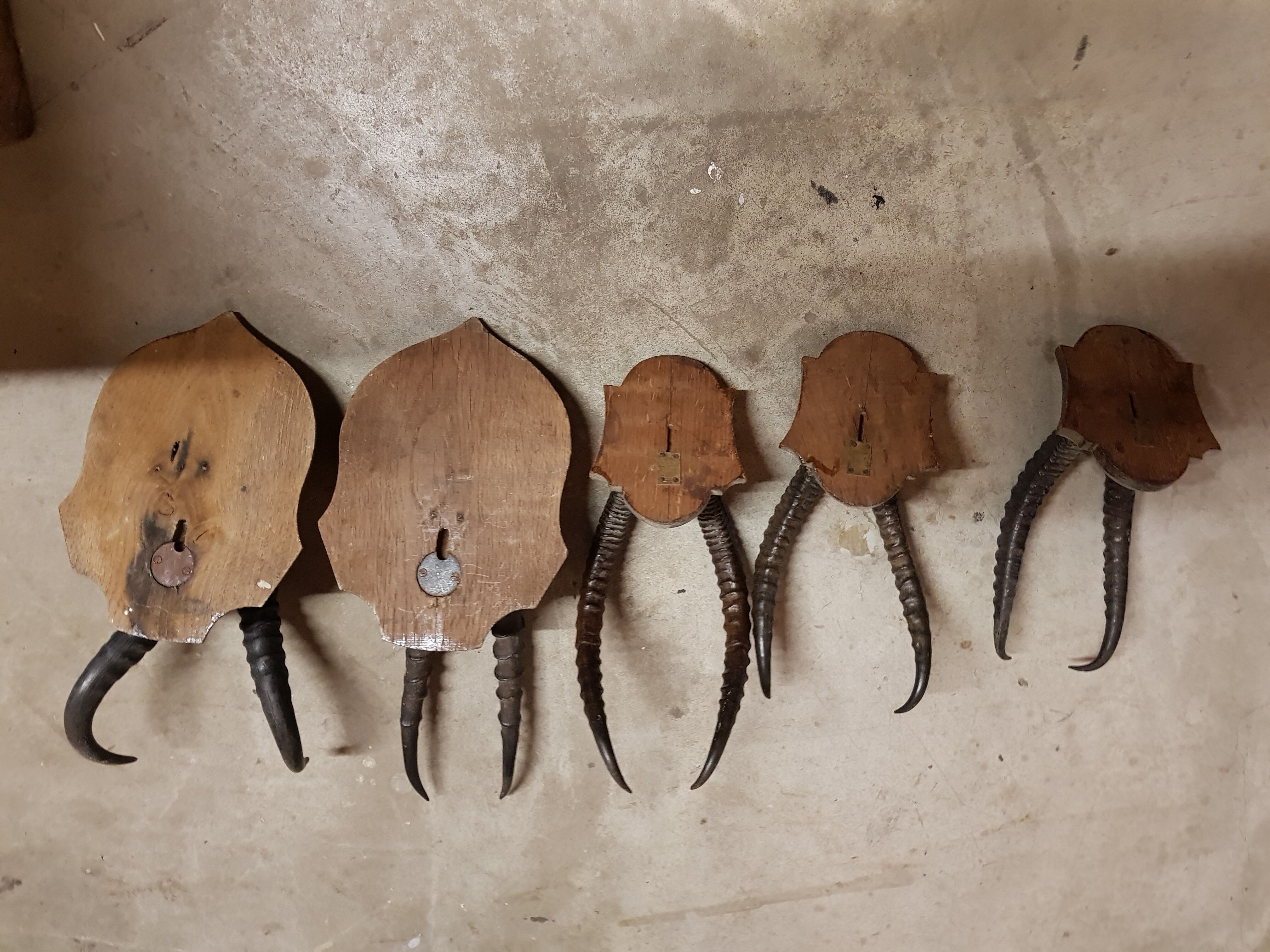 Trophies