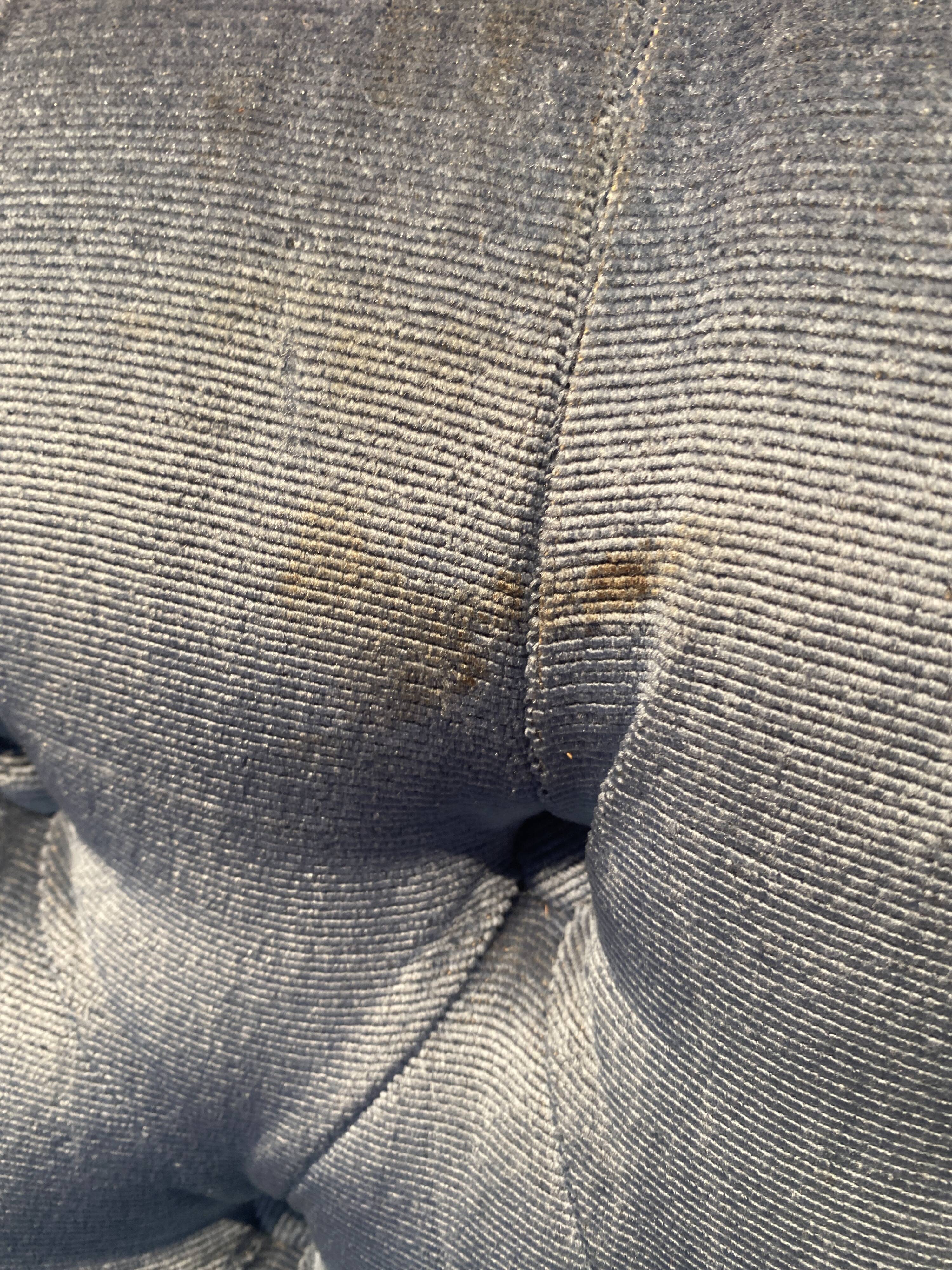 Pair of toad armchairs