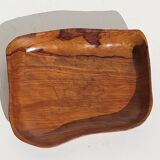 Empty cut pocket in vintage olive tree