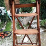 Library ladder