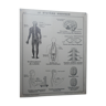 Hatier school map the nervous system - joints and muscles no. 11 and 11 bis