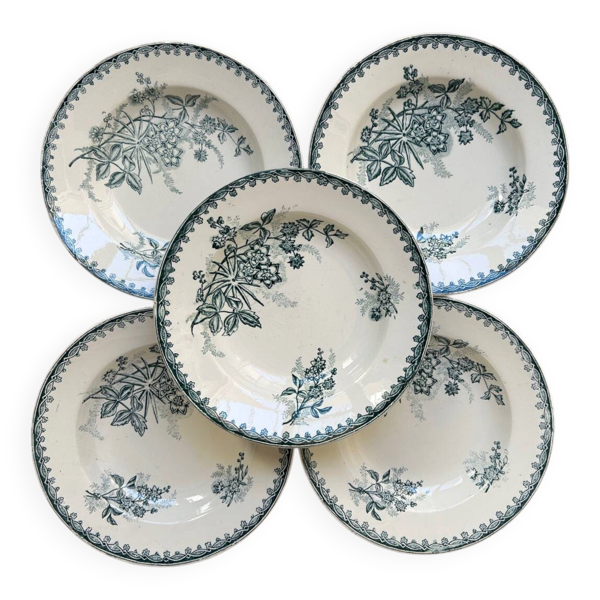 Série de 5 assiettes creuses anciennes «&nbsp;Terre de Fer&nbsp;»
