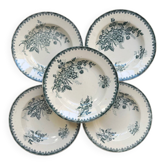 Set of 5 antique deep plates "Terre de Fer"
