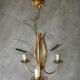Chandelier ceiling