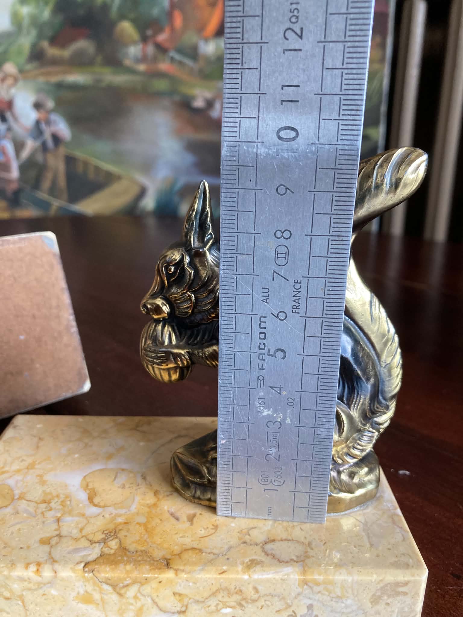 Squirrel bookends