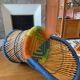 Fauteuil enfant rotin et cordage