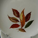 Set of 8 dessert plates in earthenware from ORCHIES. Model Underwood.