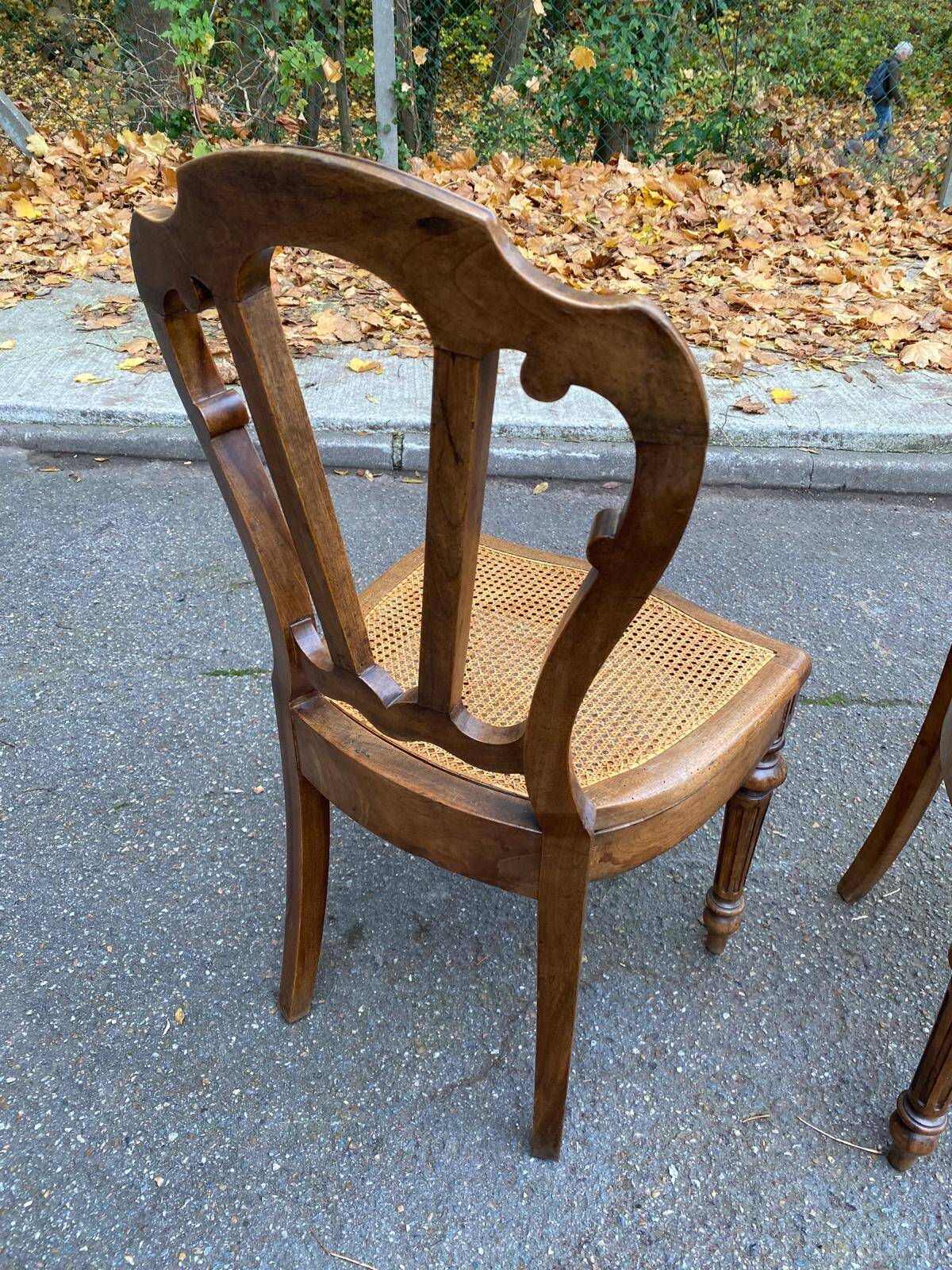 2 Louis Philippe chairs in solid carved wood and caning from the 19th century