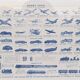 Dinky Toys monochrome advertising poster under glass