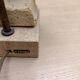 Buste Le Dauphin