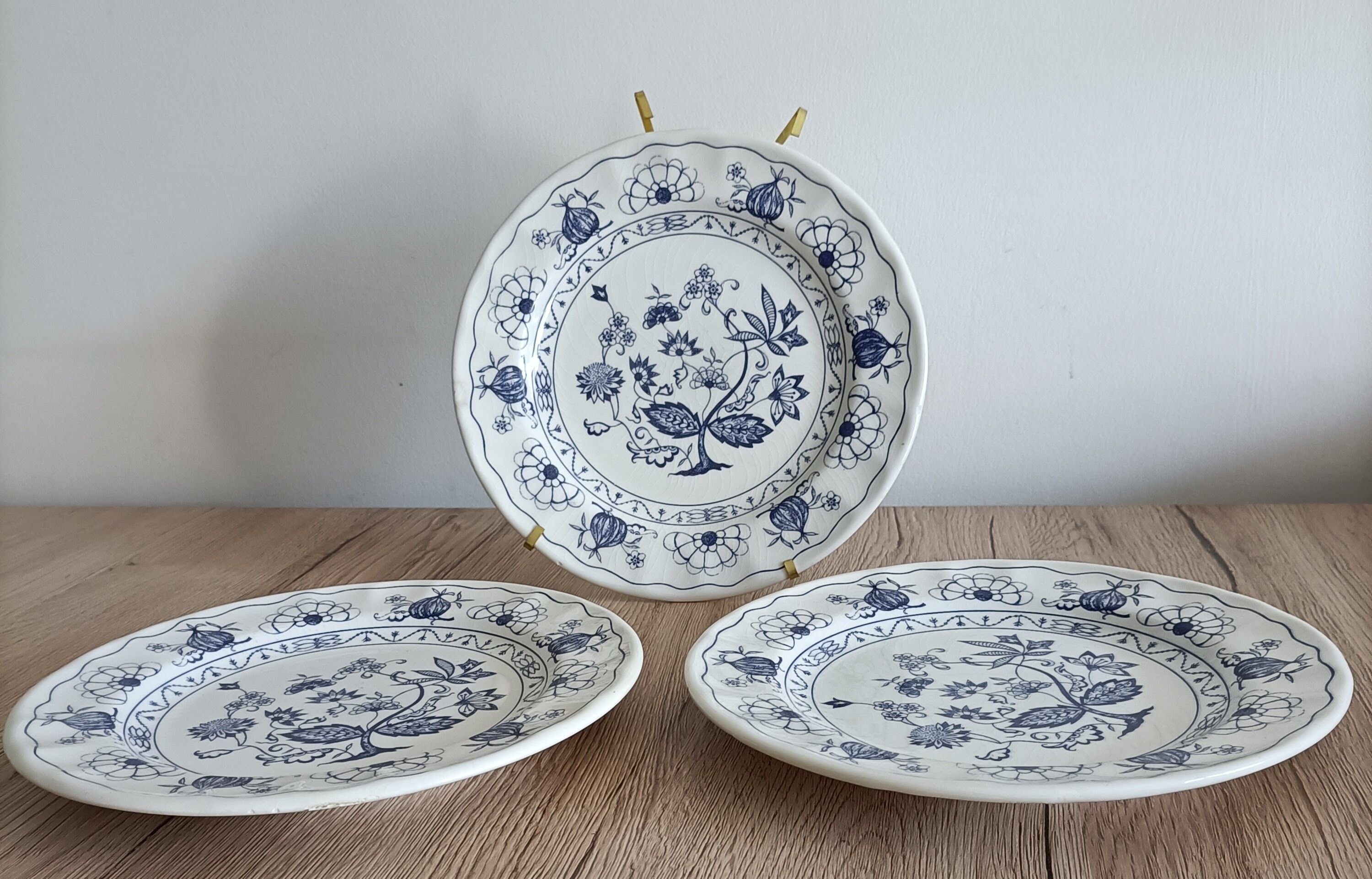 Blue porcelain onion plates