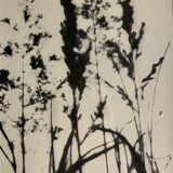 Framed lithograph - extract from the notebook "Les Natugraphies" - Albert de Visscher