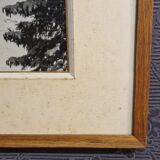 Vintage mountain photo