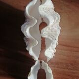 Giant clam shell