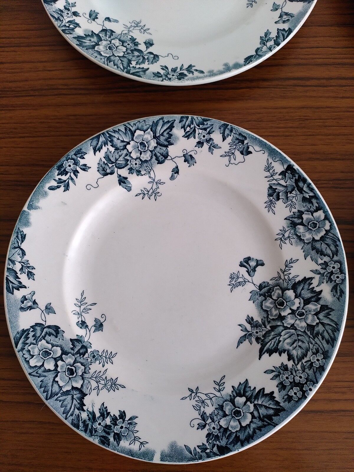 Set of flat and hollow plates in Terre de Fer Saint Amand & Hamage