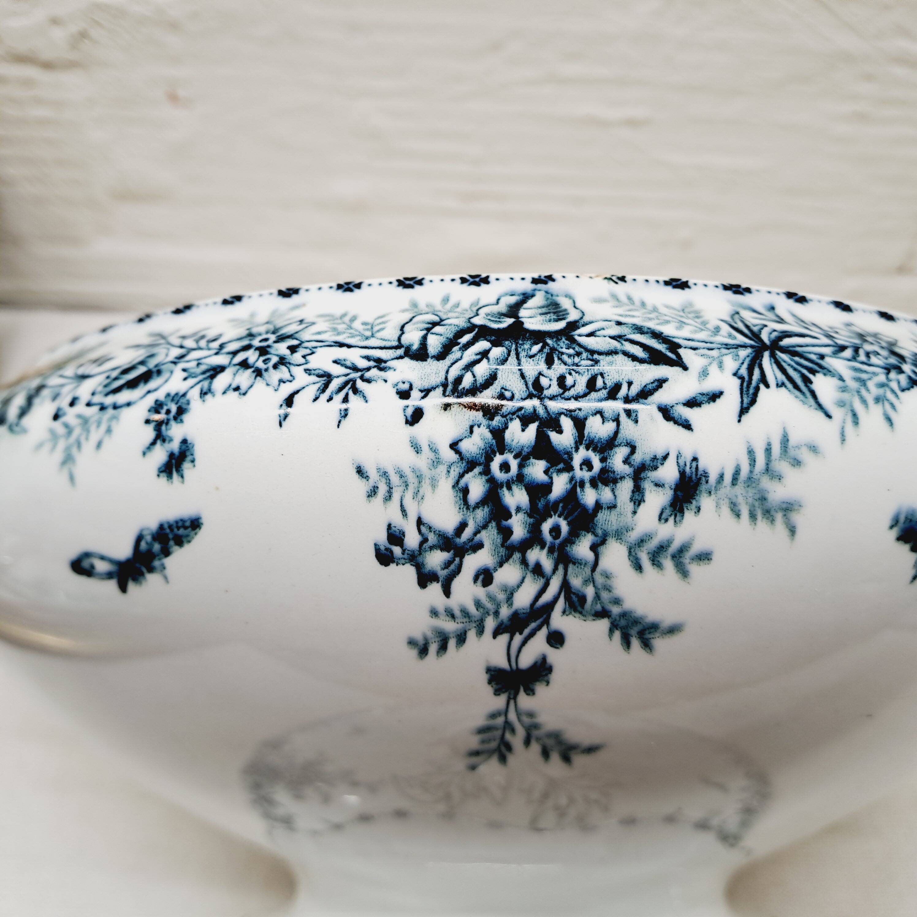 Vegetable Terre de Fer Onaing