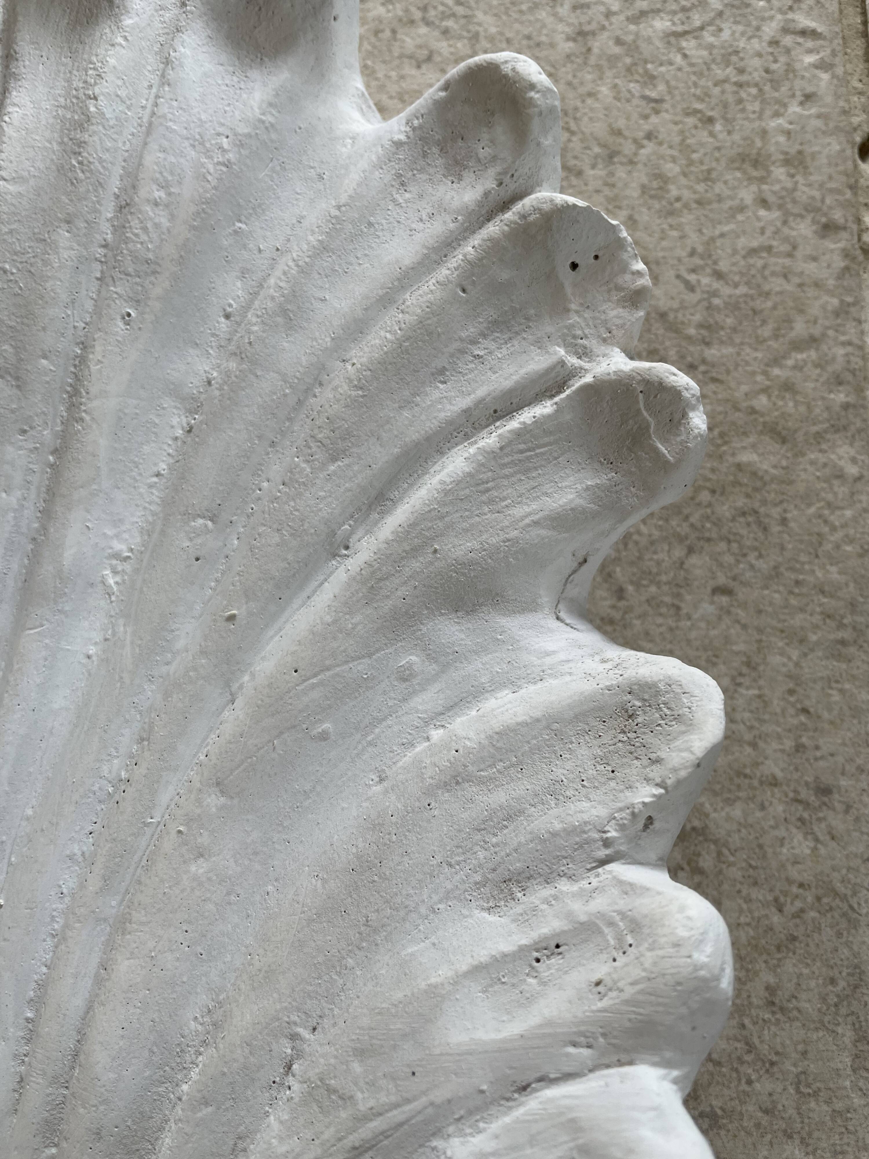 Art Deco shell wall lamp 49cm