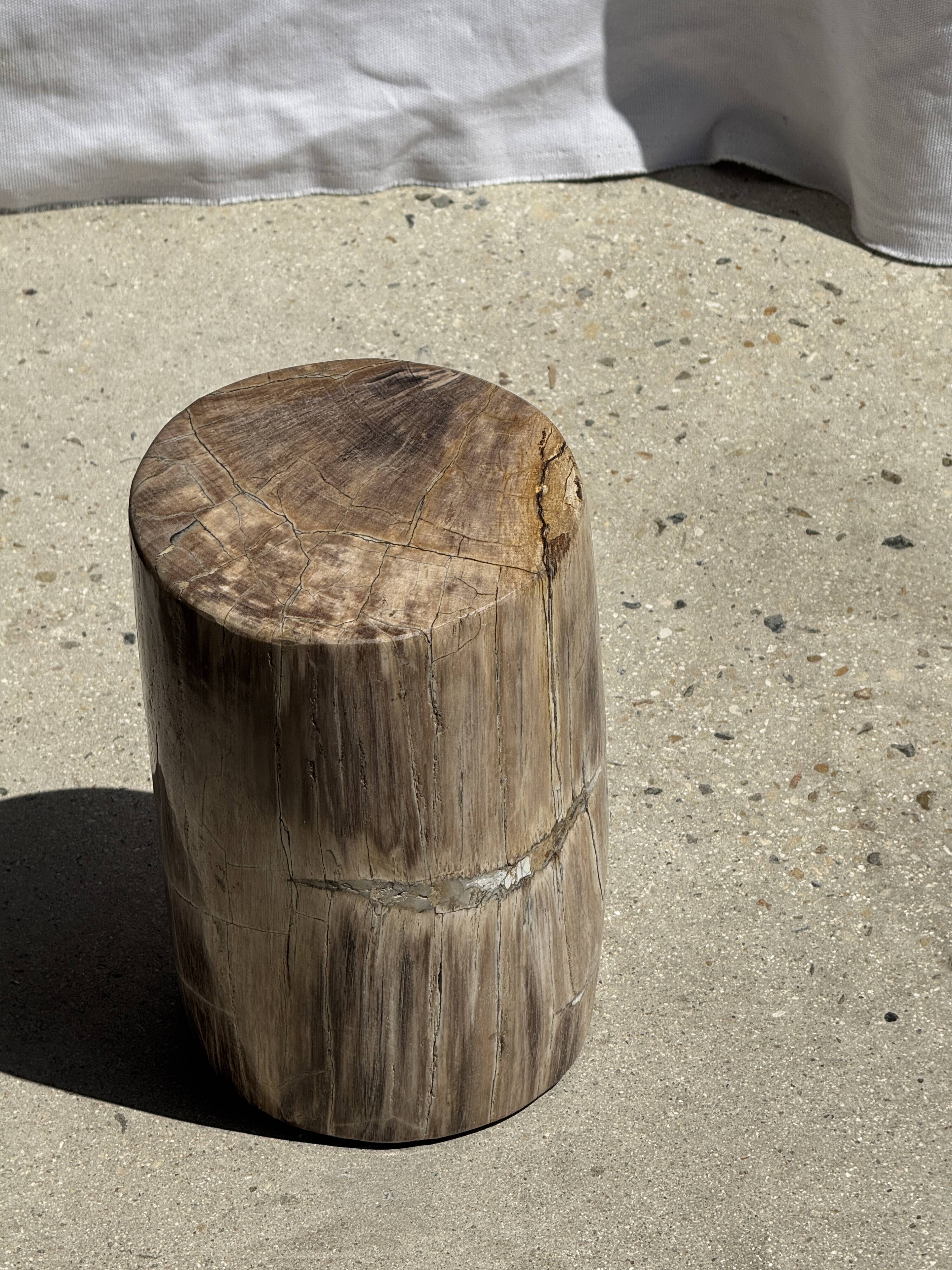 Petite table d'appoint en bois pétrifié beige gris H28 D18 - 3325