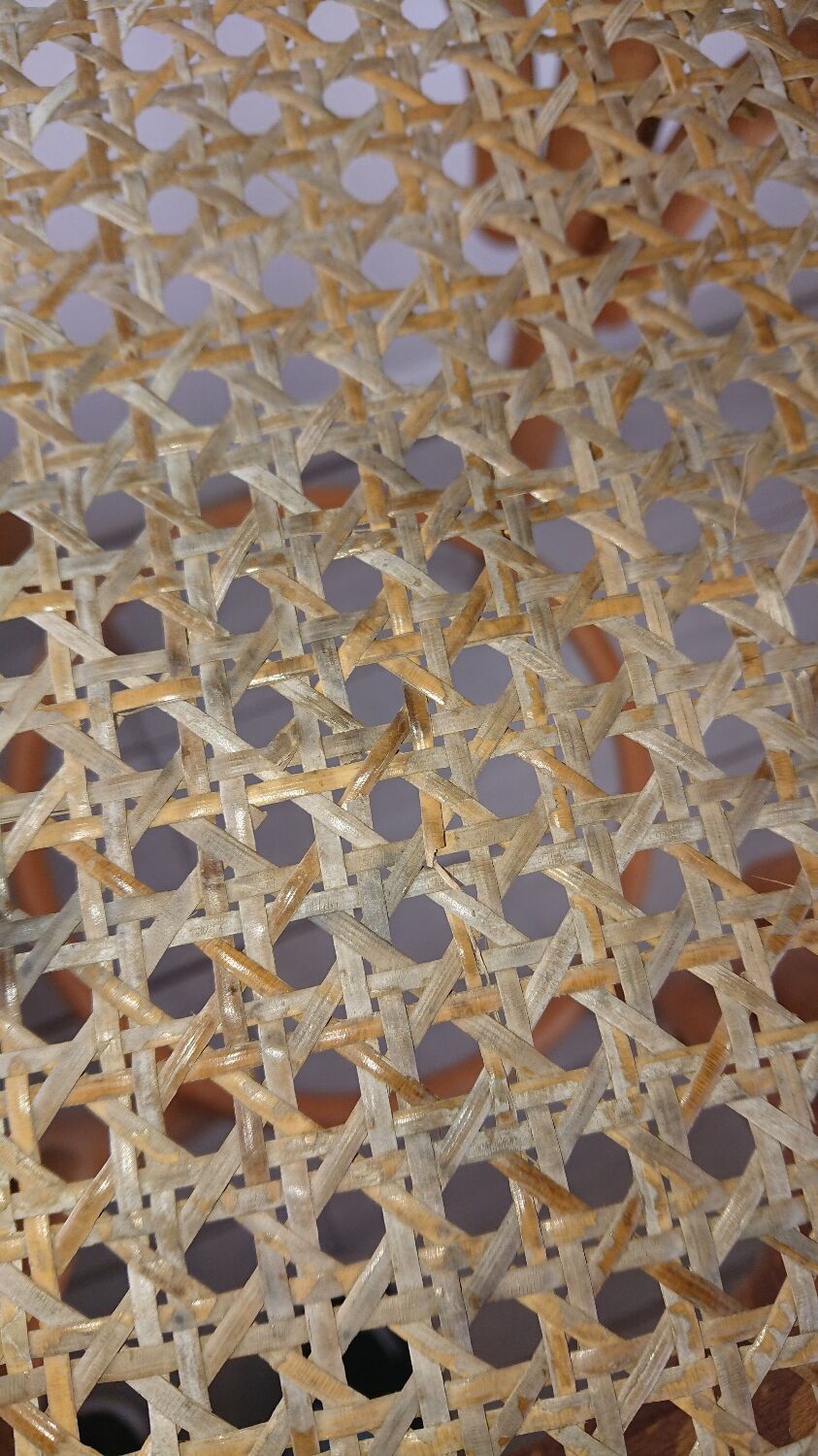 Stunt and curved wood bar stool