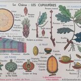 Old MDI school poster