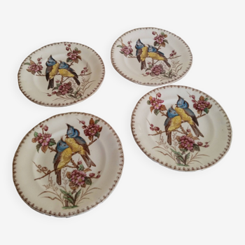 Assiettes  en faïence de Lunéville , modèle Mésange